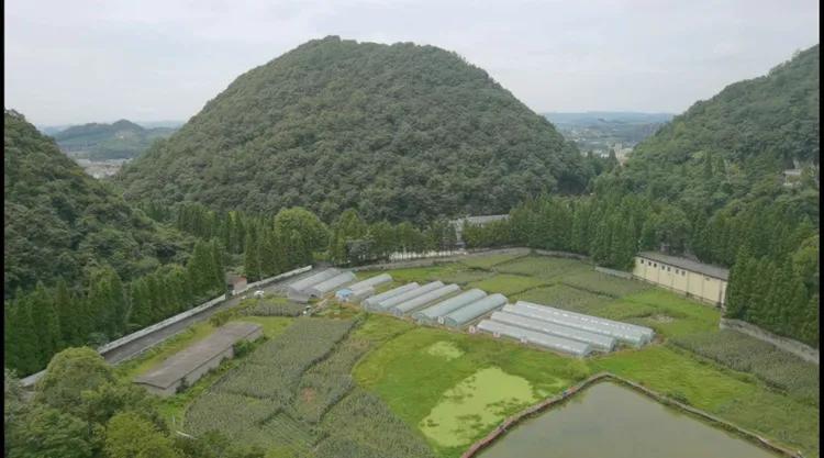 黔南第一山在什么地方,黔南第一山在哪里