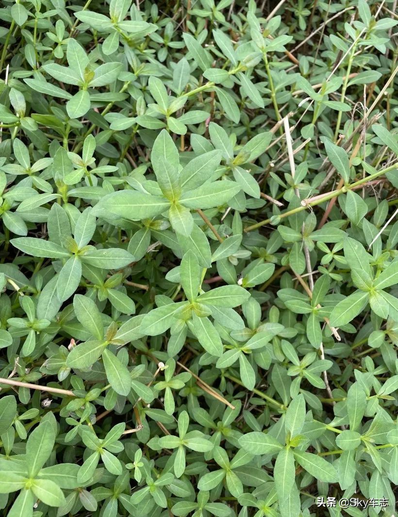 7天3000公里,宝马x57000公里发现烧机油