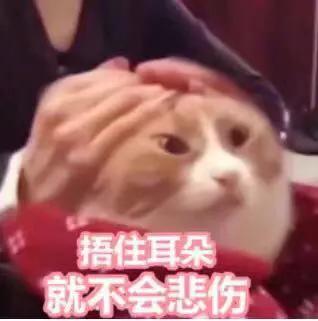 雅诗兰黛最贵口红是多少钱,法国最贵的口红多少钱一支