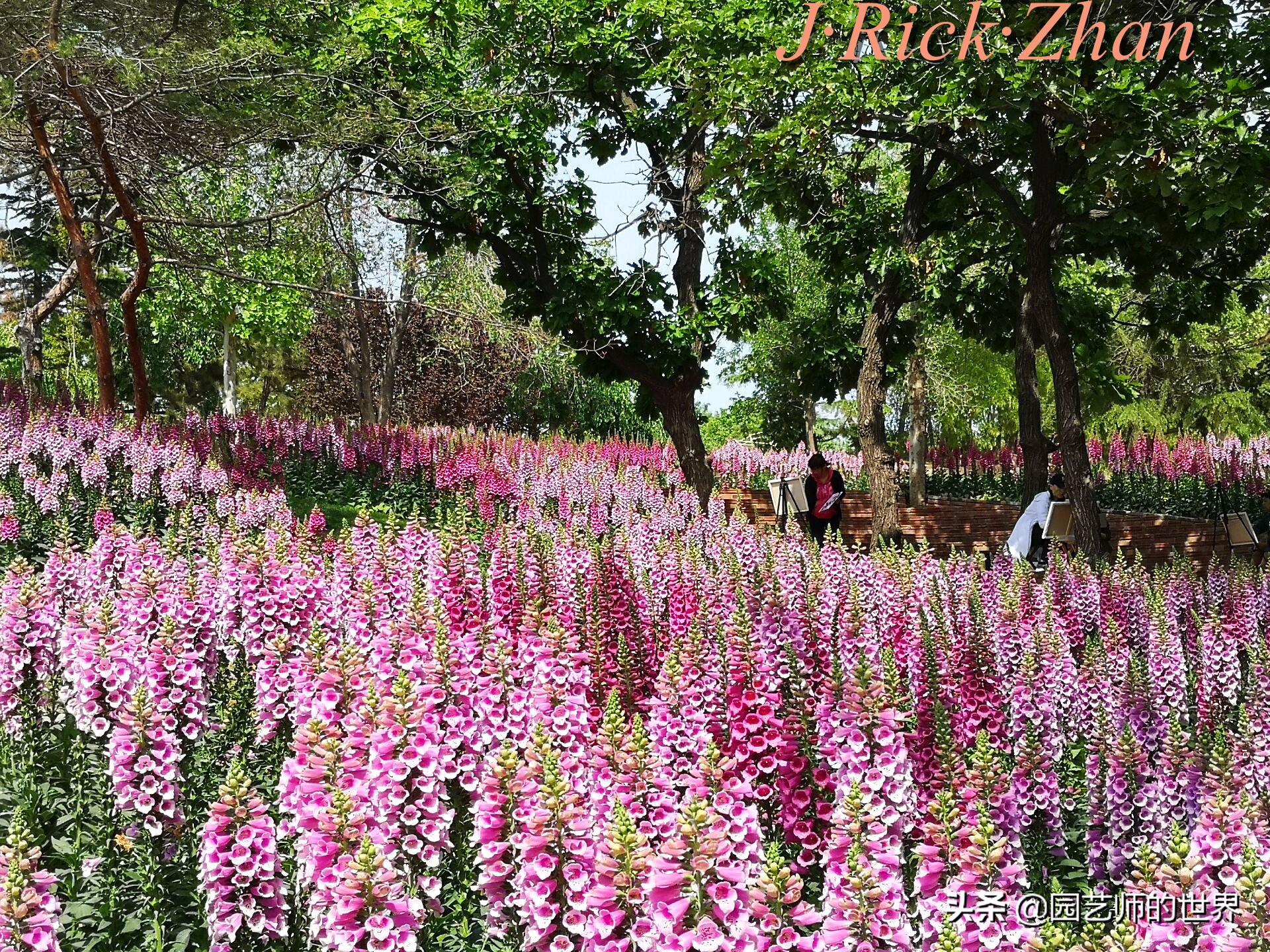 值得参观的国内优秀花园之品鉴（上篇）