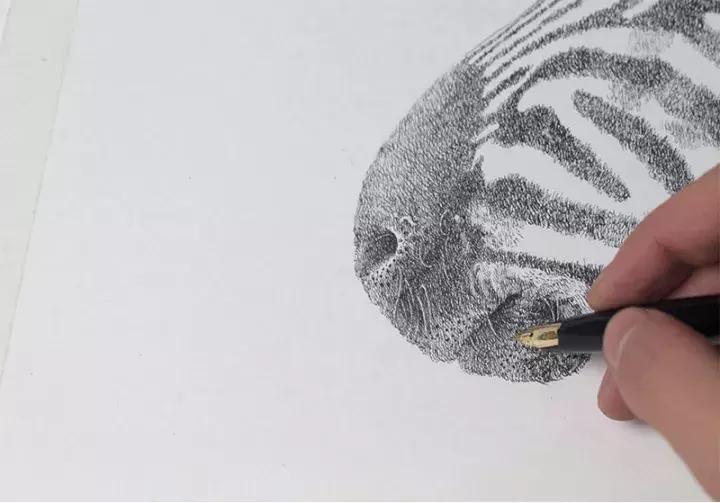 小央美钢笔画视频,极品五大钢笔画简直美爆