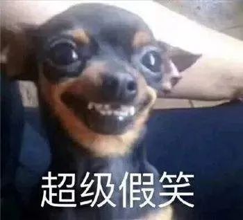 买狗不能说的话你踩坑了吗,为什么狗市买的狗说活不过三个月