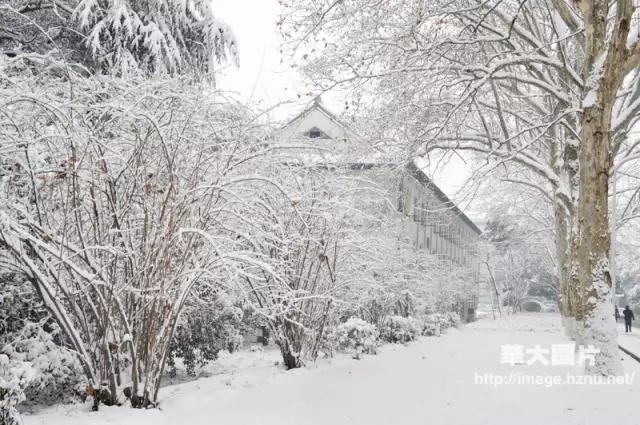 神仙颜值学校,神仙颜值校园