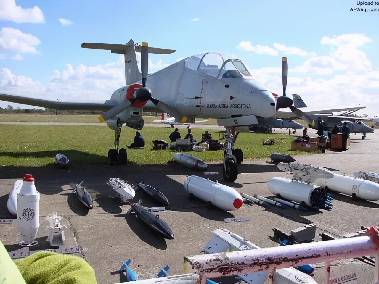 潘帕斯雄鹰回阿根廷,潘帕斯雄鹰和阿根廷巨鹰