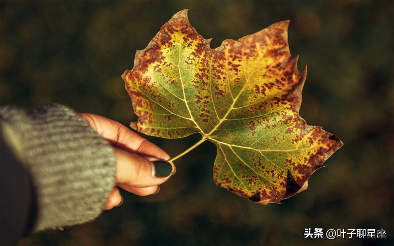 双子座心里永远藏着一个人,双子座需要陪伴吗