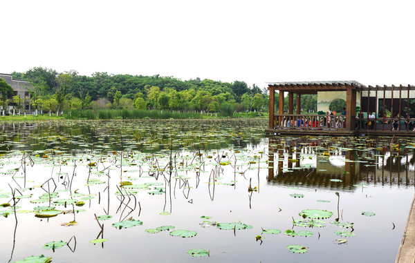 南昌动物园哪里有大象,南昌大象公园