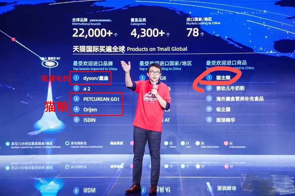 后院布偶猫好吗,怎么挑选传统系布偶猫