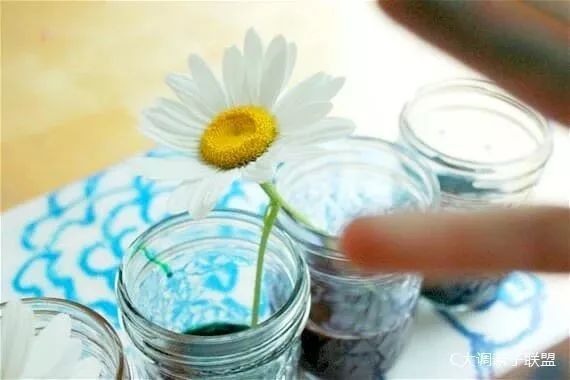 科学实验好奇心,科学入门小实验