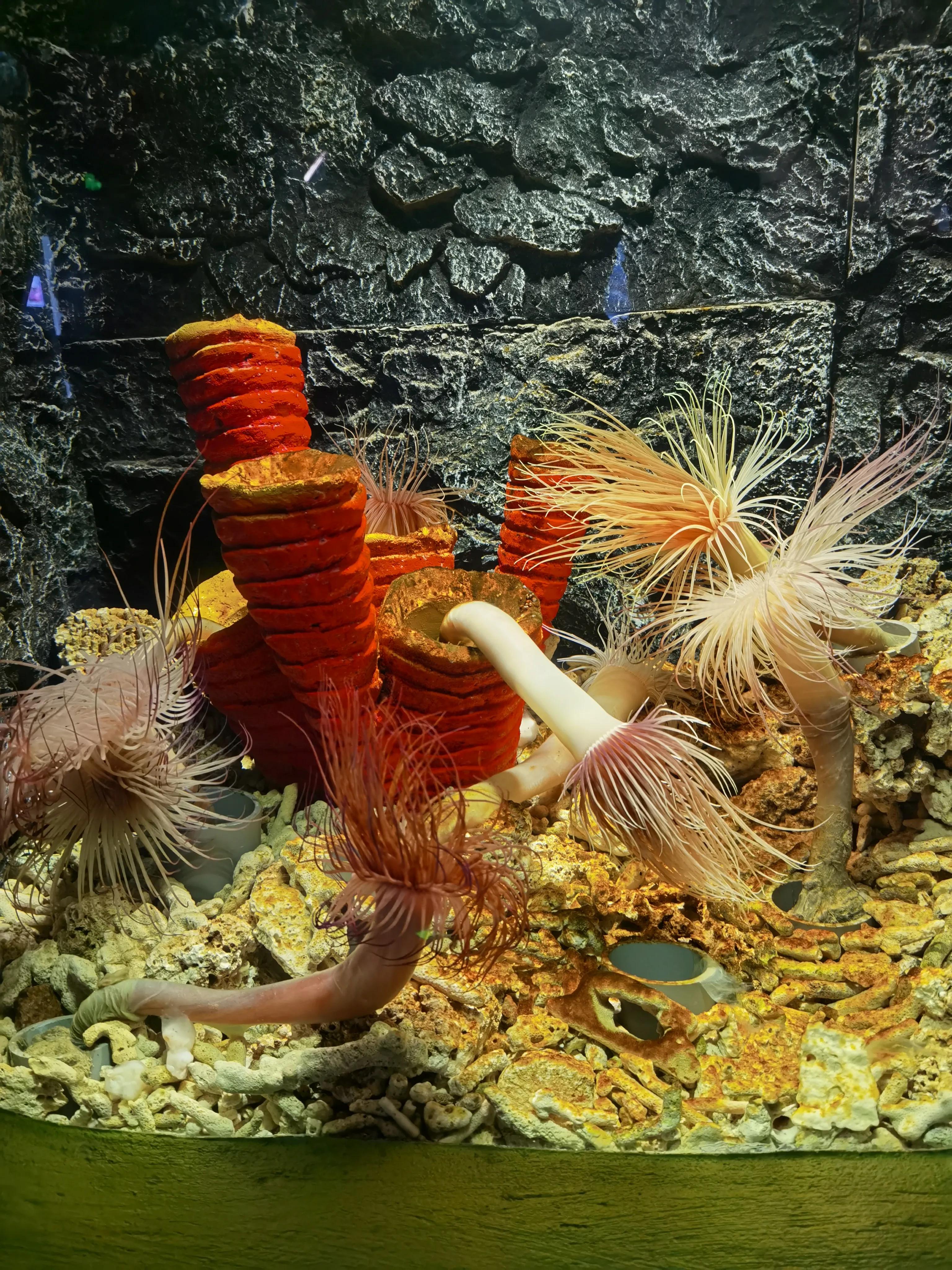 天津海洋馆新开的儿童乐园,天津适合孩子玩的水上乐园