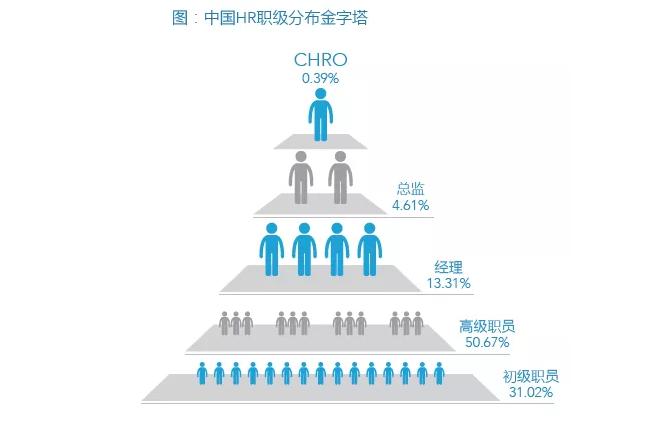 大龄hr求职的视频,大龄hr都去哪儿了