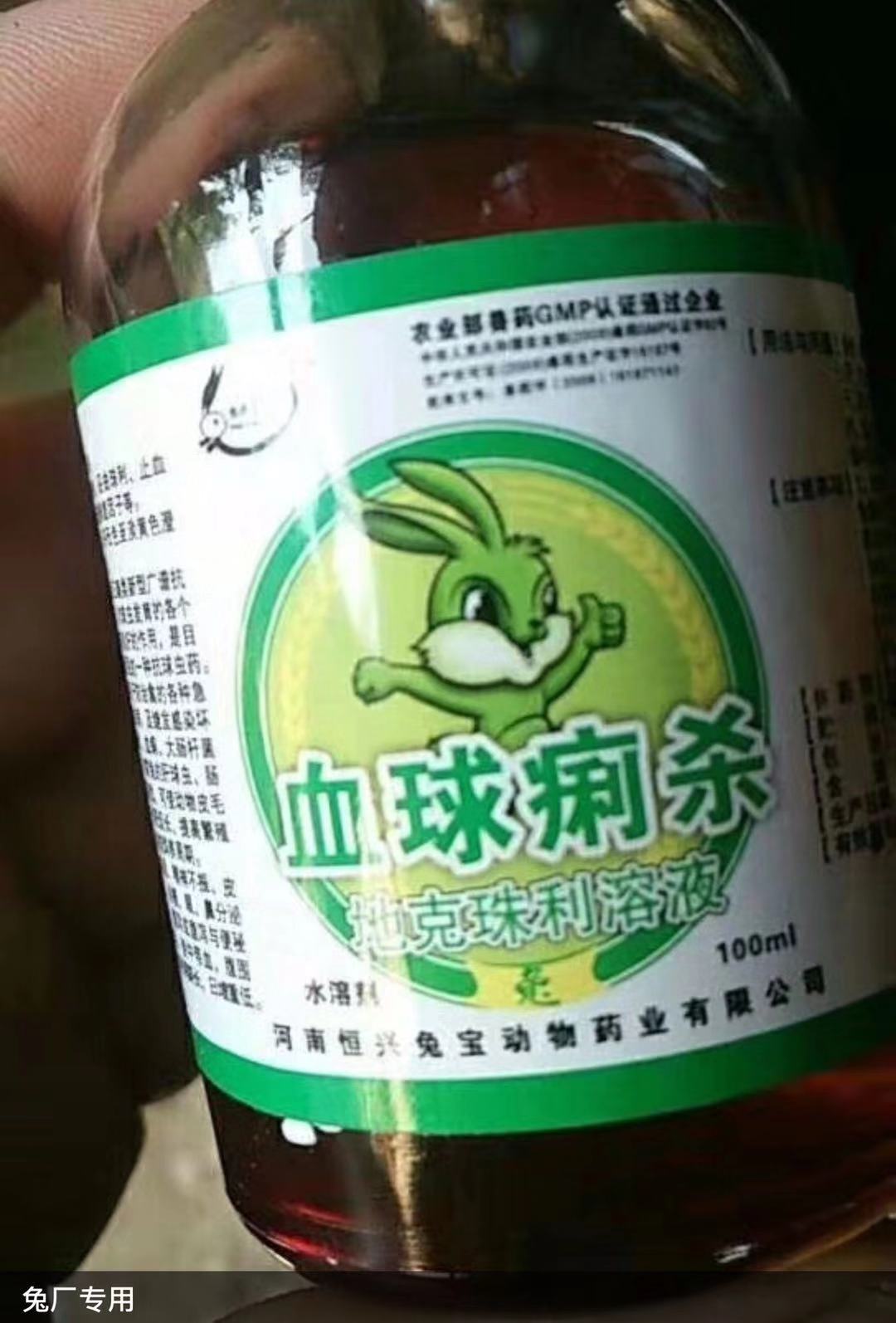 养兔必备药,新手养兔兔需要准备的药品