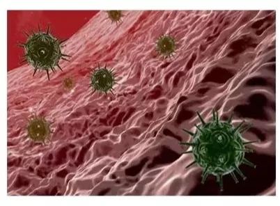 一星期不换裤子,连续一星期不换内裤