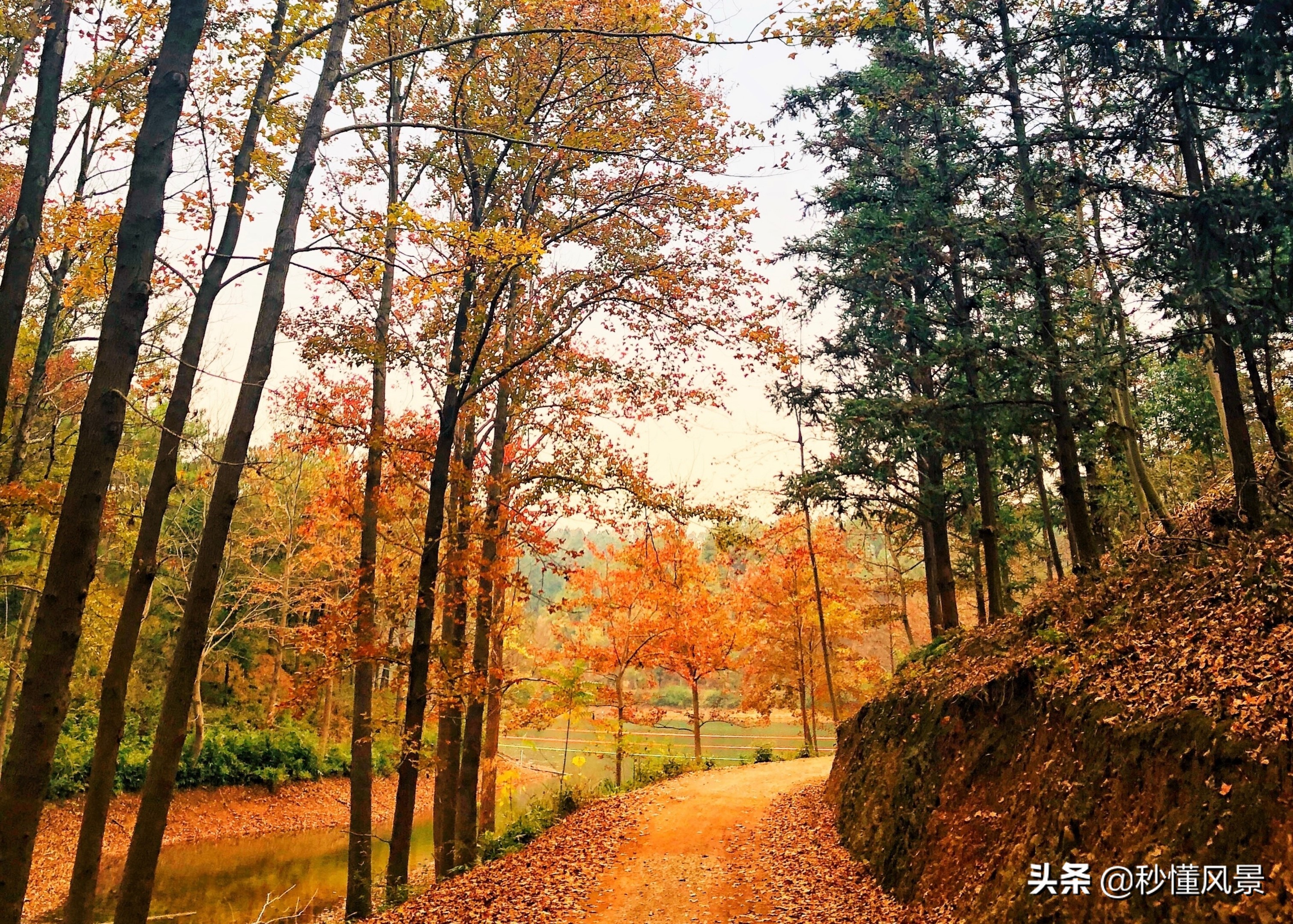 杭州，也有一个“九寨沟”，它依山傍水而且能感受一叶知秋的美丽