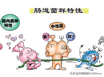 过量补益生菌对婴儿的危害,滥用抗生素肠道菌群紊乱会便秘吗