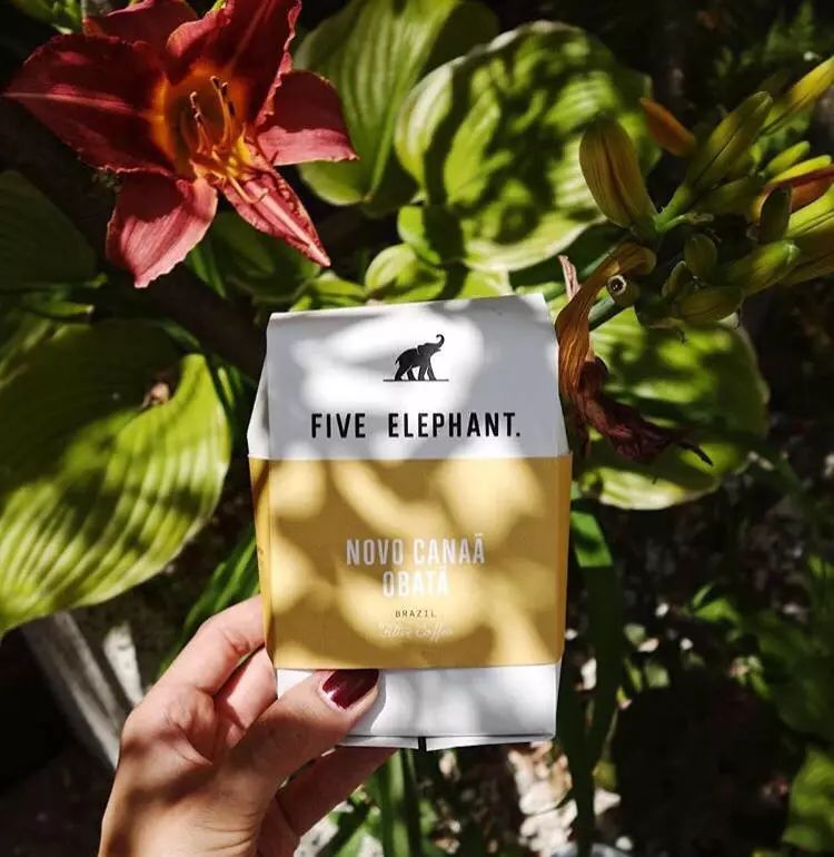 成都咖啡排名前十名,有趣的咖啡排名前十