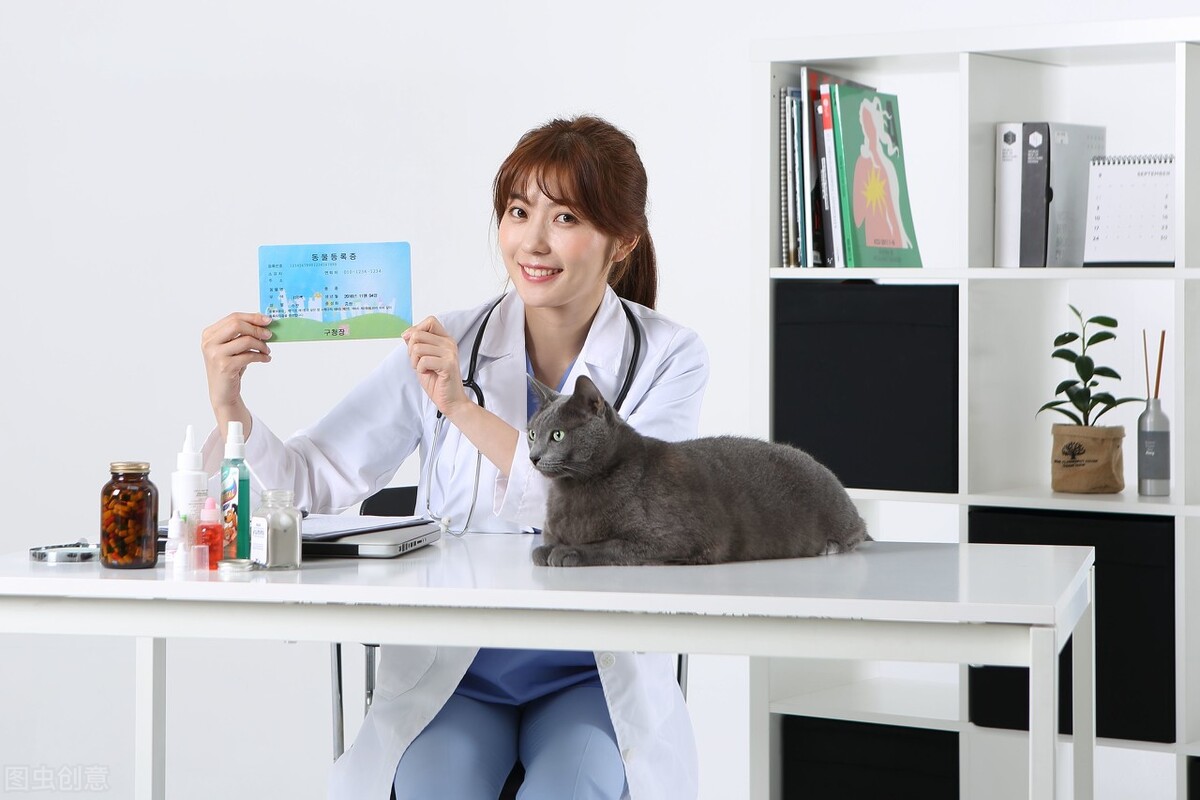 犬蛔虫怎么预防,如何治疗犬蛔虫感染