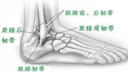 崴脚可能隐藏巨大风险吗,崴脚告别习惯性崴脚