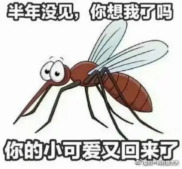 小孩发烧动画科普,发烧科普动画