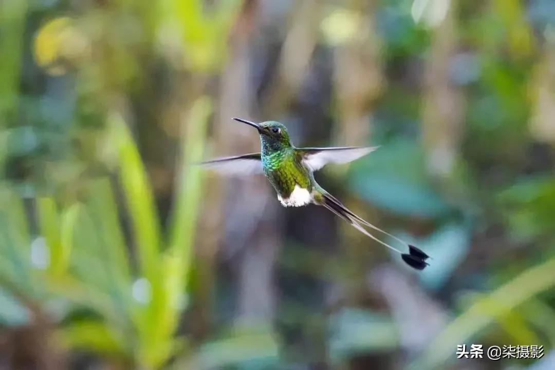 聚焦区域和自动对焦模式的选择,6d对焦模式和对焦区域