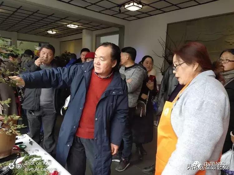 山东盆景艺术大师王桂华,金艳盆景精品欣赏