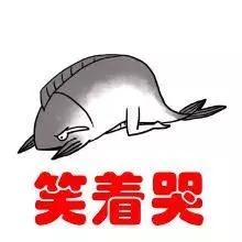 遇见一个好的大夫是什么心情,遇见好的医生