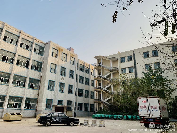 涧西牡丹广场老照片,洛阳牡丹手机拍照