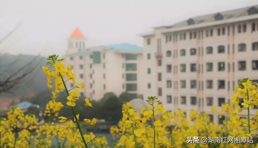 湘潭大学图,湘潭大学是湘大校友最多的大学