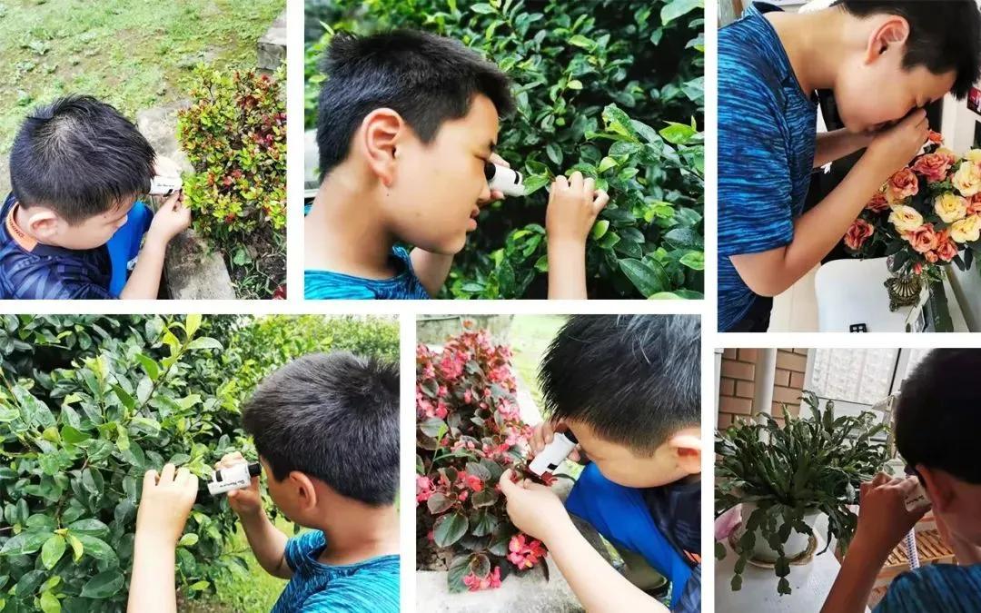 儿童科学30000倍显微镜,儿童电子显微镜真的1000倍