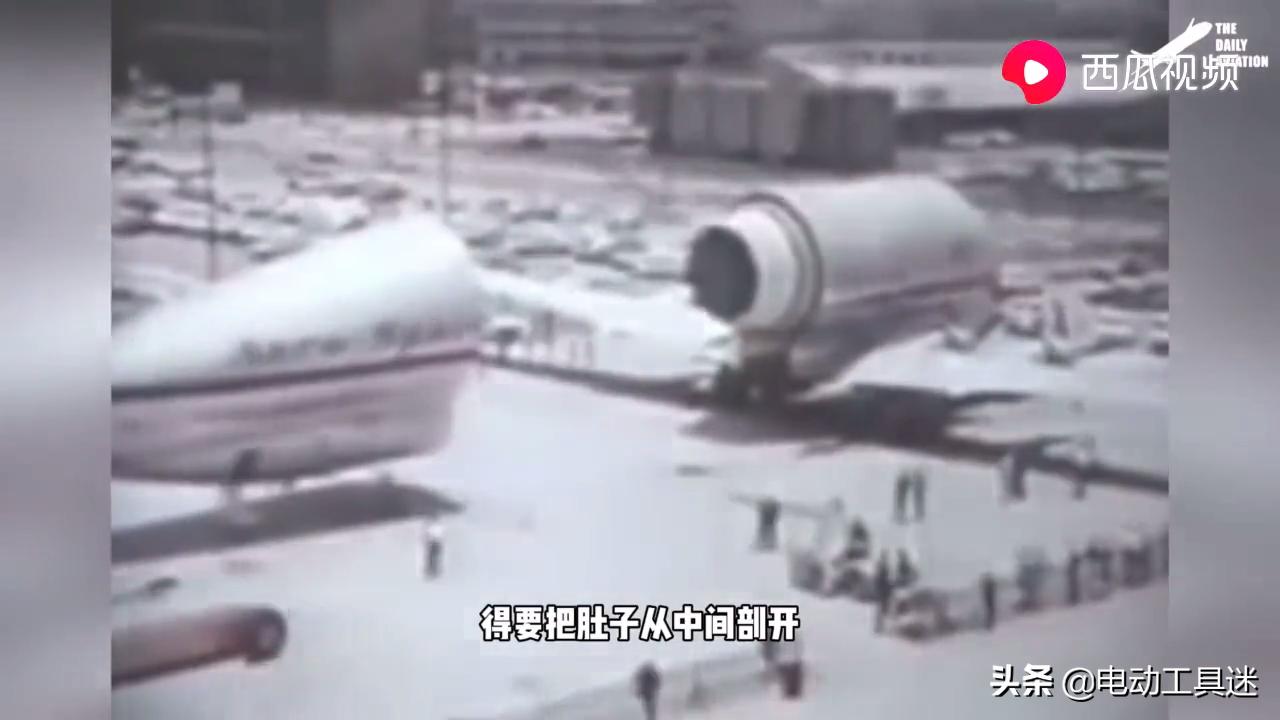 刷新你的知识体系，西瓜视频解析：史上最奇葩的飞机超级古比鱼