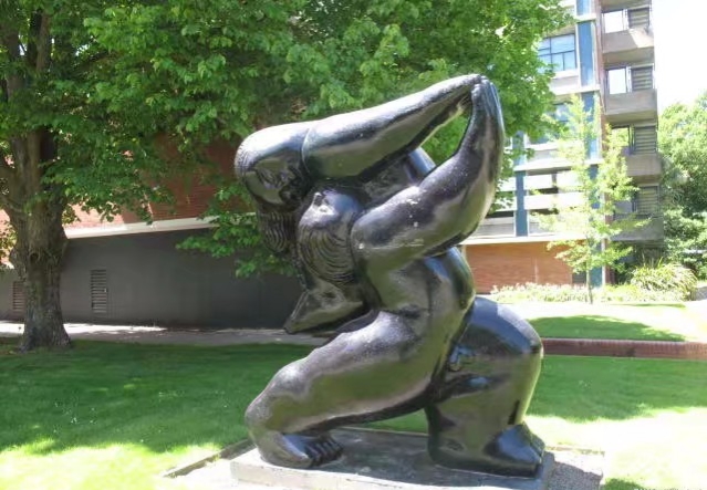 从新西兰的甜椒论个卖看我国农民如何挣钱：高品质高价格