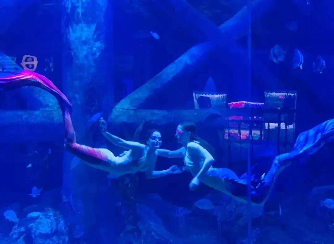 临沂极地海洋世界五一特惠,临沂极地海洋世界门票多少钱