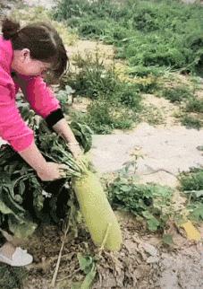 搞笑gif段子因为爱情所以共患难,搞笑gif段子小伙子你谈恋爱了吗