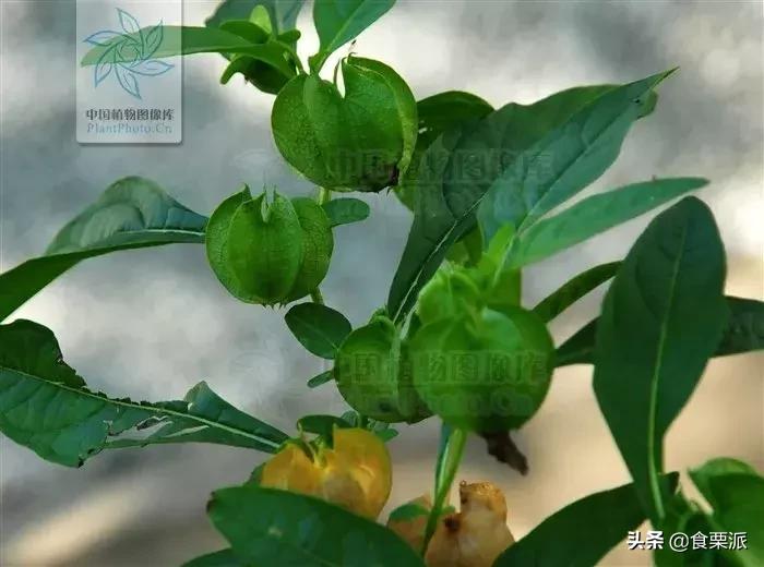 高温天气只有晚上外面凉快,高温天气凉快点