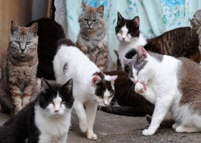 “洗衣服务”说成washclothes？难怪老外给你白眼！