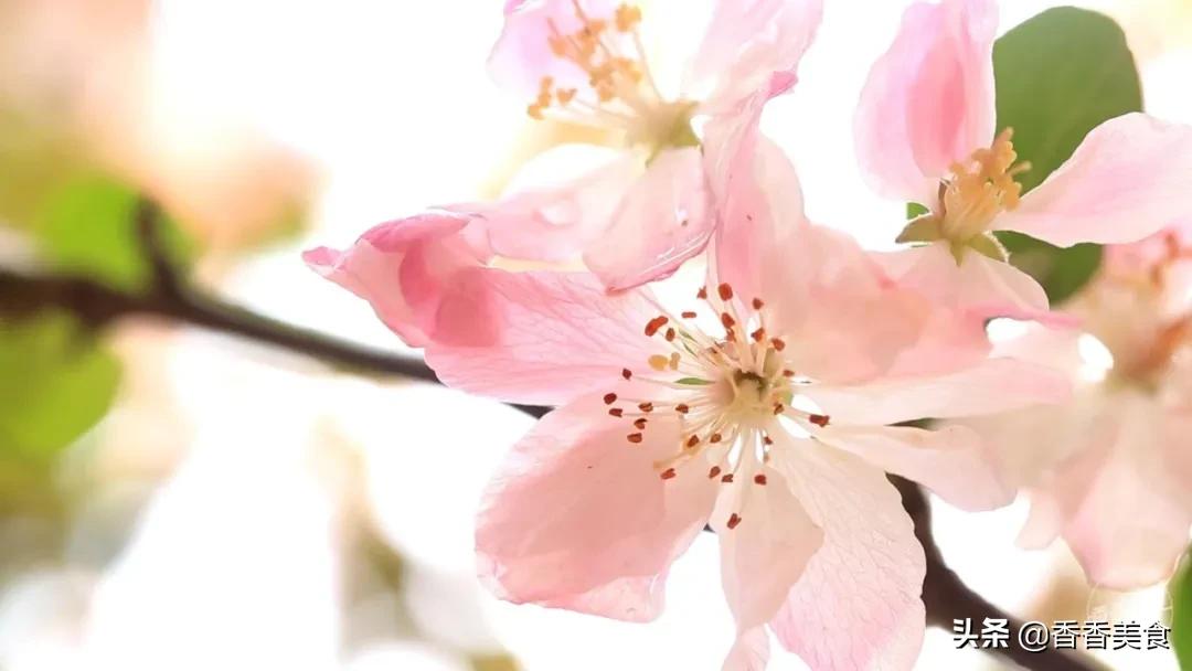 五一节特别篇,五一节推送