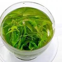 苦丁茶好,苦丁茶属于养生茶吗