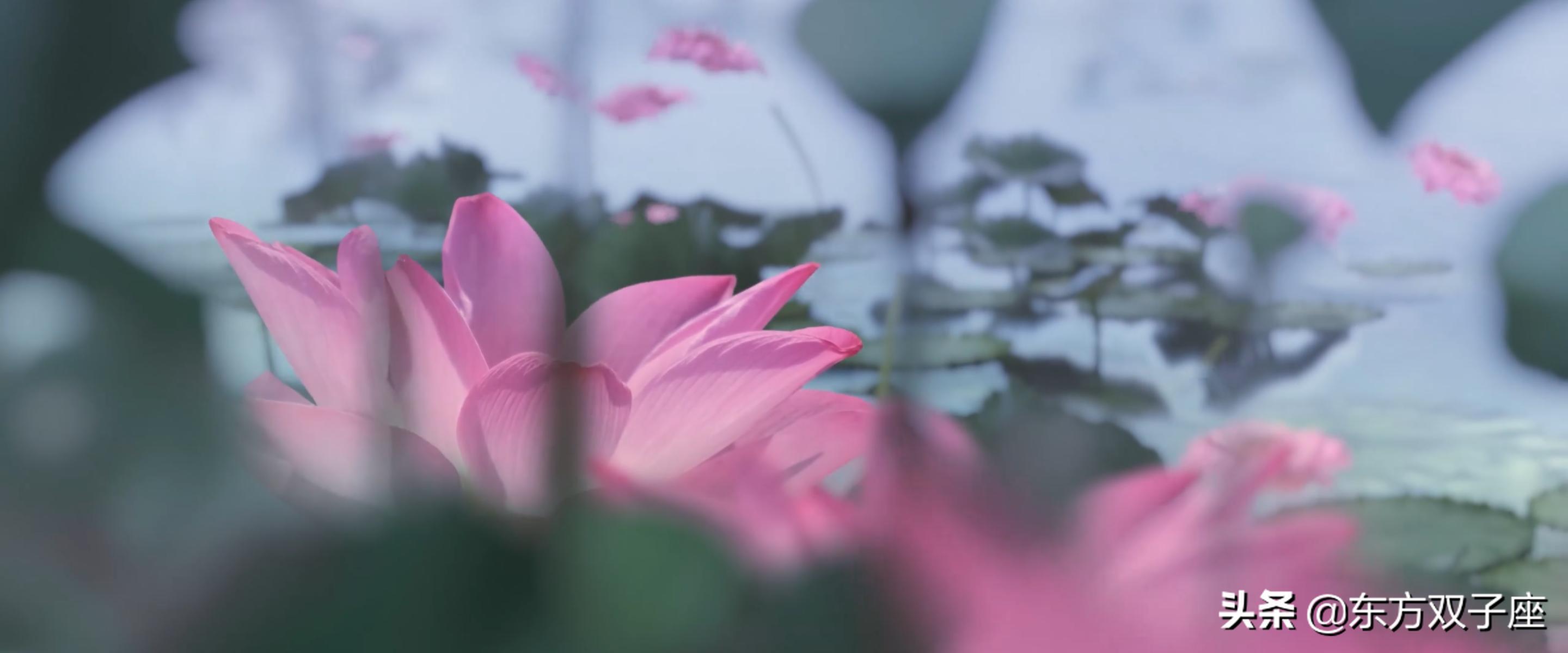 万万没想到，我竟被一部粤剧电影迷得神魂颠倒