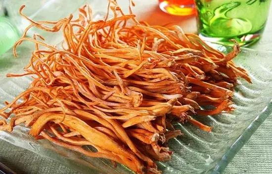 人工种植冬虫夏草功效图片,人工种的冬虫夏草有什么功效