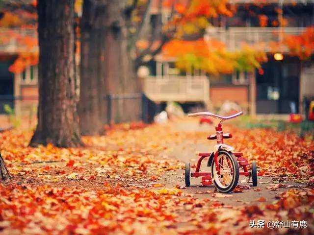 走过“冰火两重天”的人生：与“心软”道别，和“无情”相拥