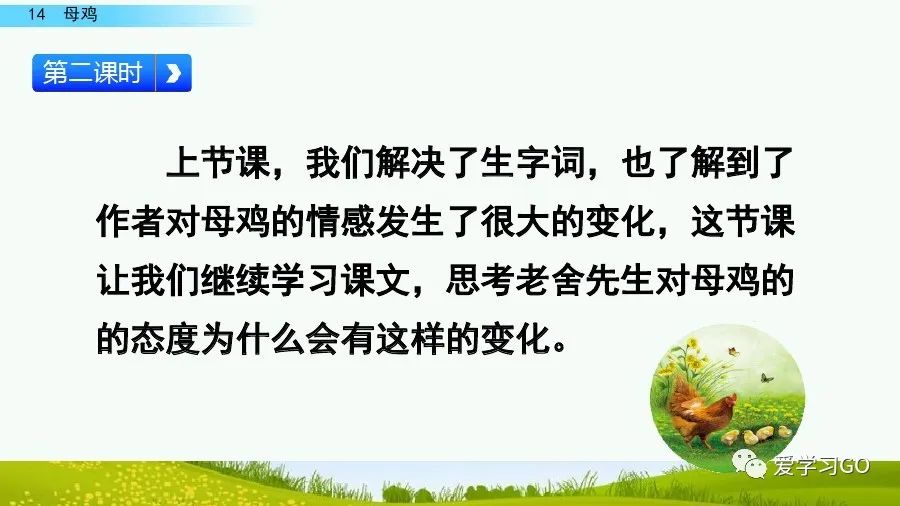 四年级下册语文母鸡课文重点讲解,四年级下册语文14课母鸡重点知识