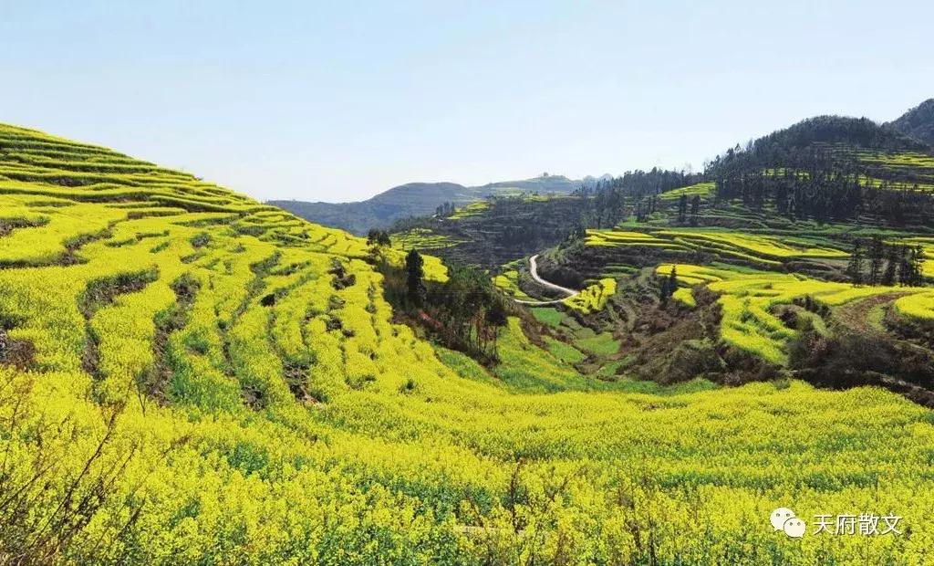闄屼笂鑺卞紑鎶栭煶鍥涘窛,闄屼笂鑺卞紑鍥涘窛杈惧窞