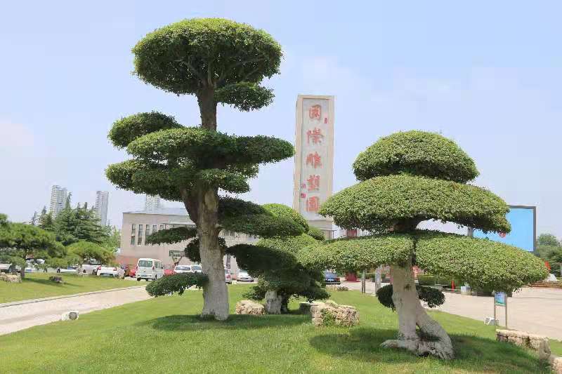 临沂雕塑公园:打造充满民生温度的最美城市公园