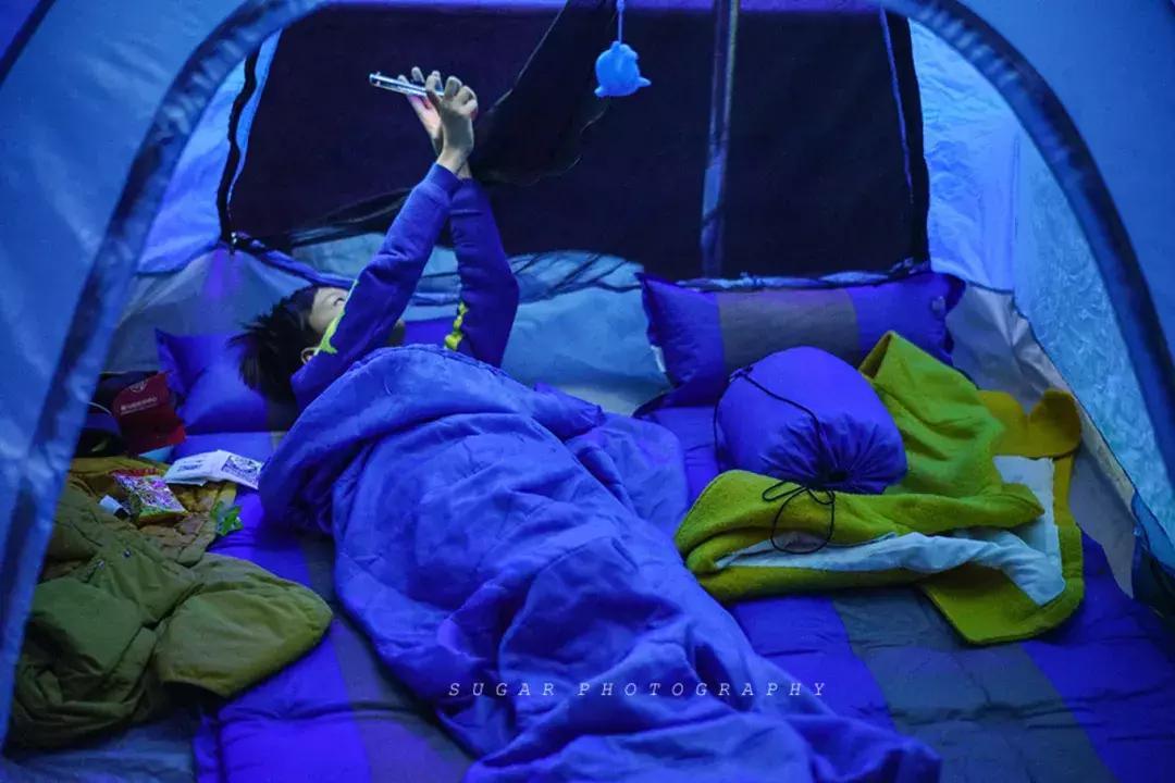 「亲子游」与万千海洋动物一起，夜宿探索极地海洋之美