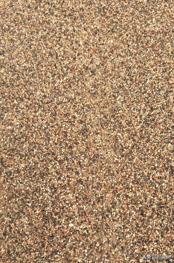 鸣沙山月牙泉堆满了游客,鸣沙山月牙泉景区