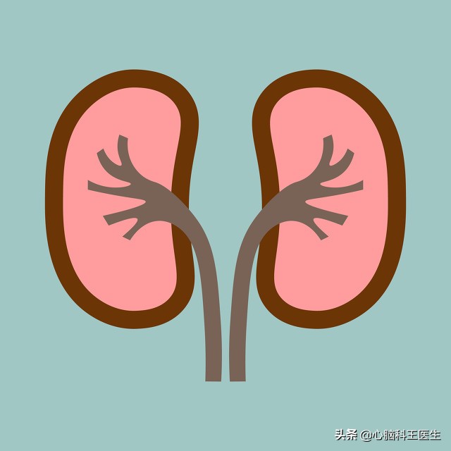 尿酸高降压药,尿酸高血压高吃什么降压药