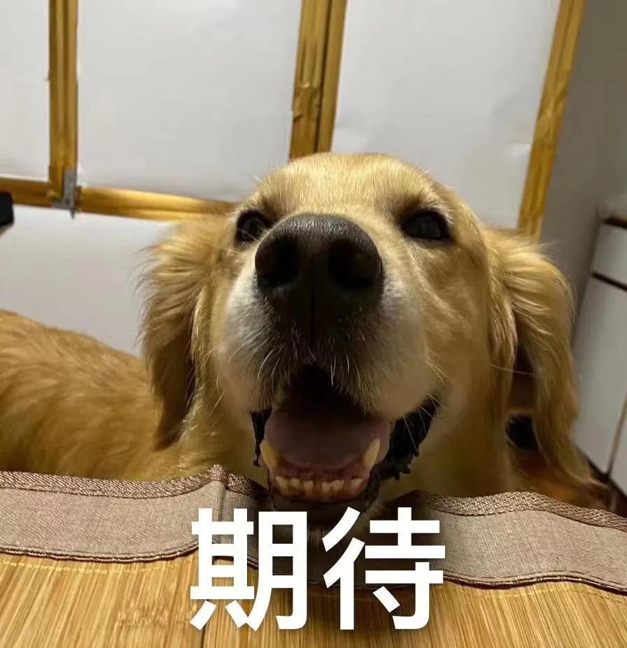 在深圳福田的生活,生活在深圳是一种幸福