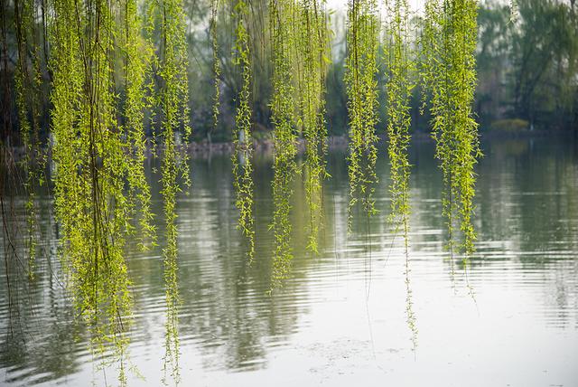 哪些便宜又好用的镜头,什么牌子的镜头最好用