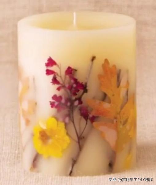 花卉造型美图,元宝蜡烛花图片