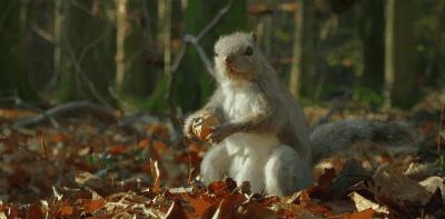 豆瓣9.8分悬疑大片,窥探电视剧豆瓣评分