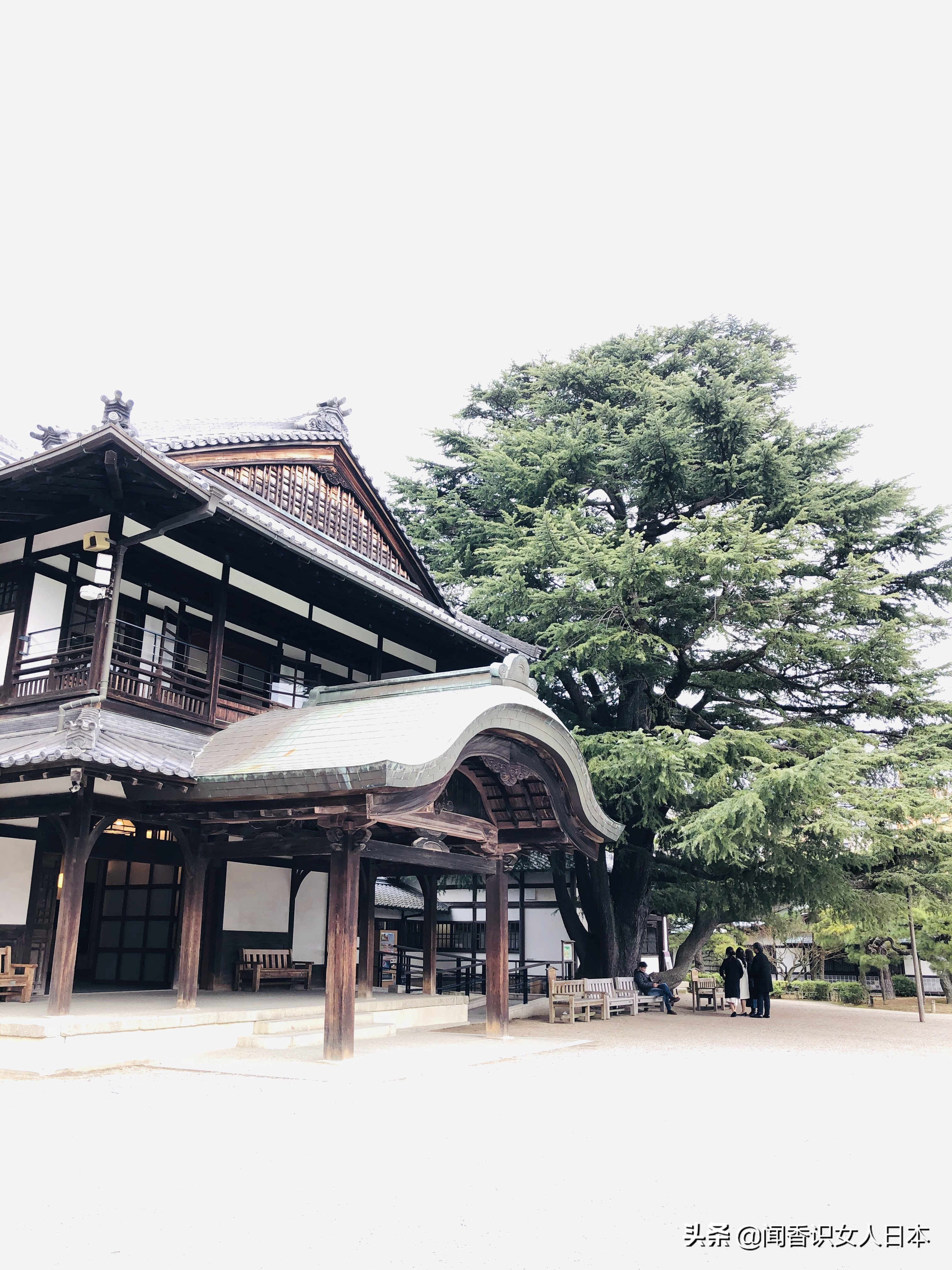 日本的米其林三星餐厅,日本米其林三星参观